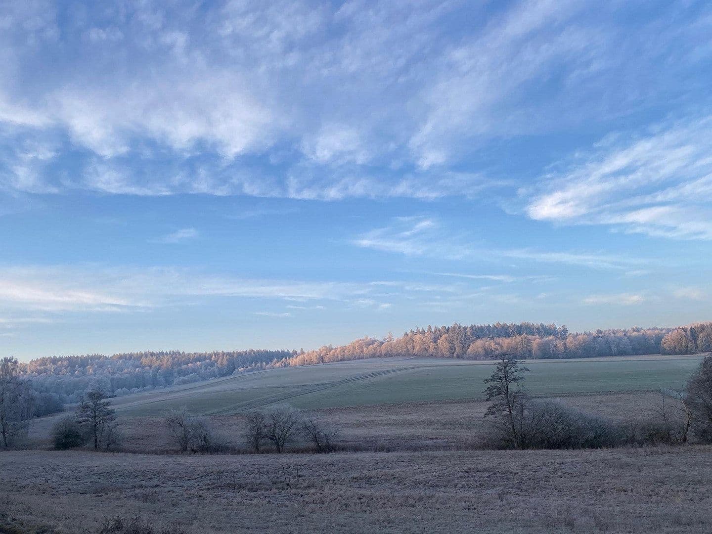 Prodej domu 130 m², pozemek 574 m², Waldstr. 7, Heidenrod, Hessen Prodej domu 130 m², pozemek 574 m², Waldstr. 7, Heidenrod, Hessen