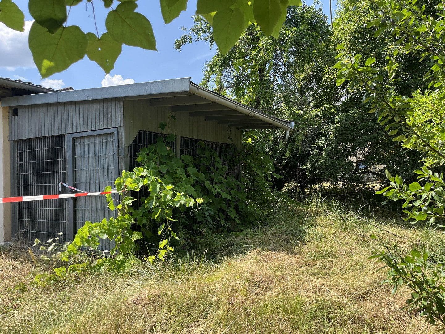 Prodej domu 140 m², pozemek 1.813 m², Kinheim, Porýní-Falc Prodej domu 140 m², pozemek 1.813 m², Kinheim, Porýní-Falc