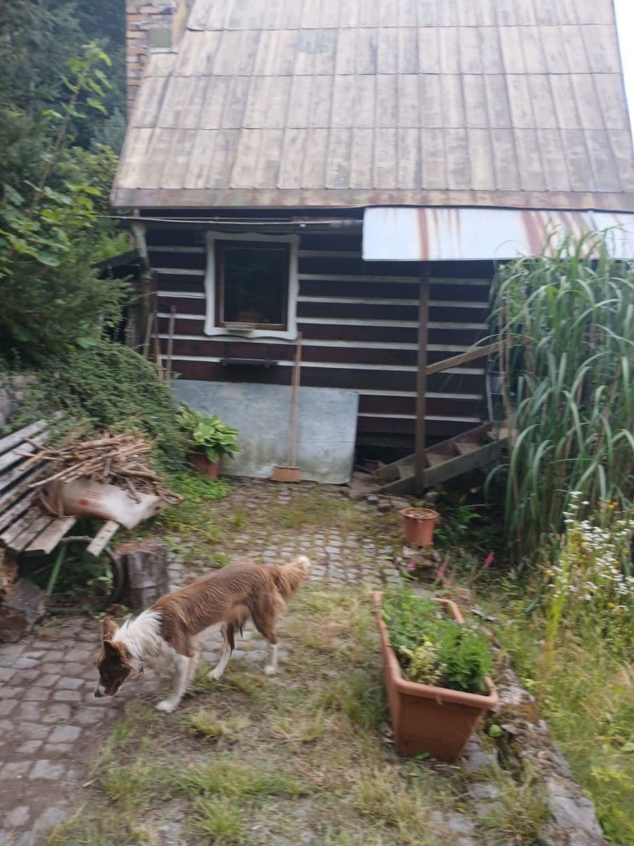 Prodej chaty, chalupy 25 m², pozemek 545 m², Svoboda nad Úpou, Královéhradecký kraj Prodej chaty, chalupy 25 m², pozemek 545 m², Svoboda nad Úpou, Královéhradecký kraj