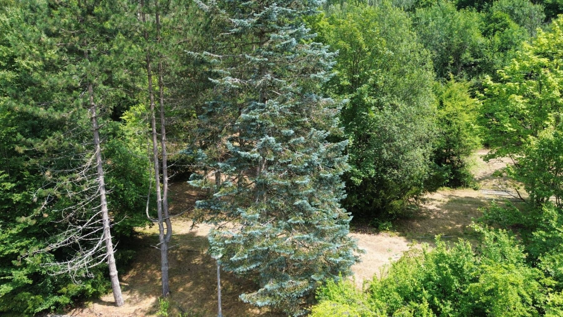 Prodej nebytového prostoru 11.580 m², Šternberk, Olomoucký kraj Prodej nebytového prostoru 11.580 m², Šternberk, Olomoucký kraj
