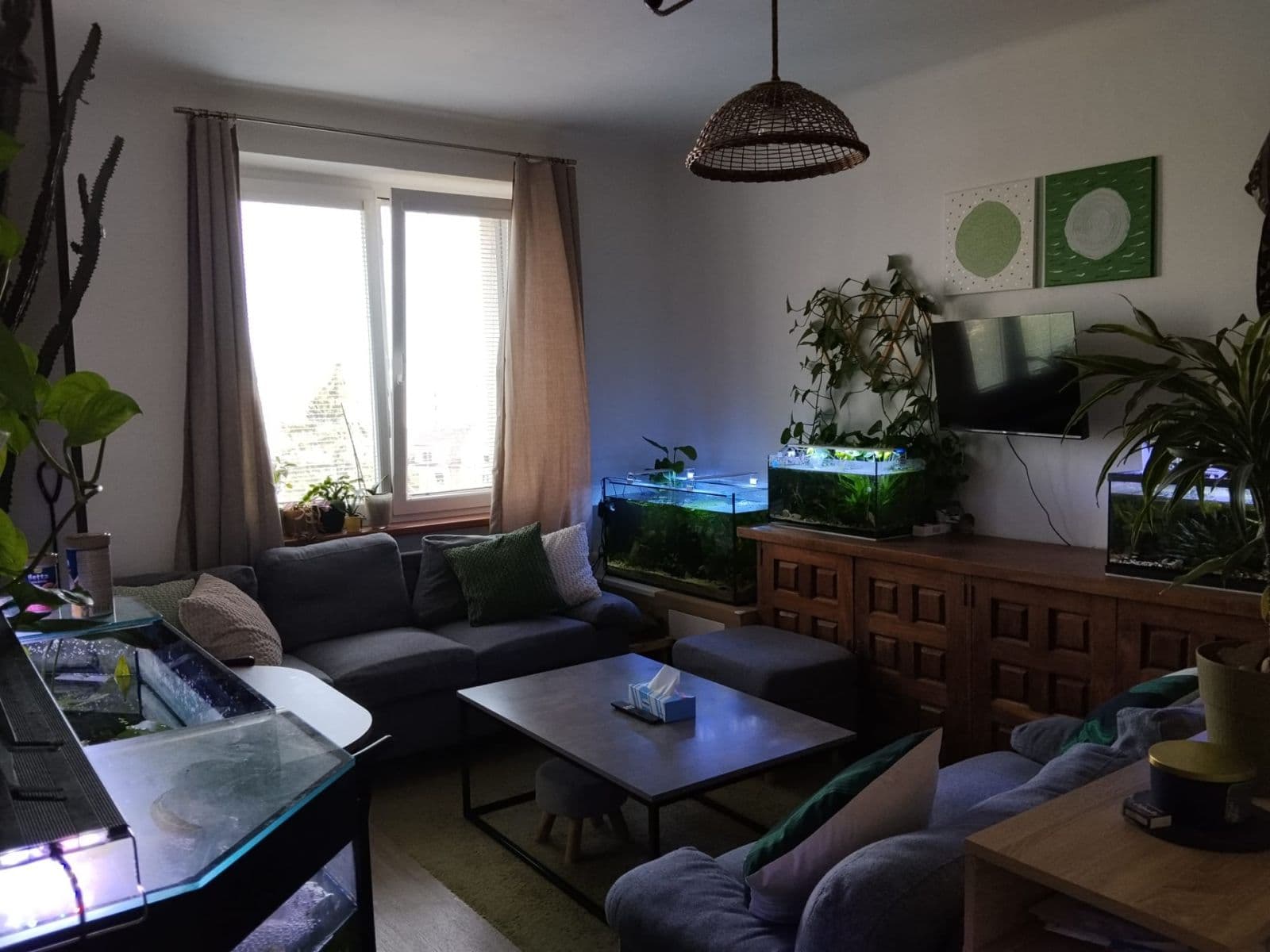 Pronájem bytu 3+1 69 m², Jetelová, Plzeň, Plzeňský kraj Pronájem bytu 3+1 69 m², Jetelová, Plzeň, Plzeňský kraj