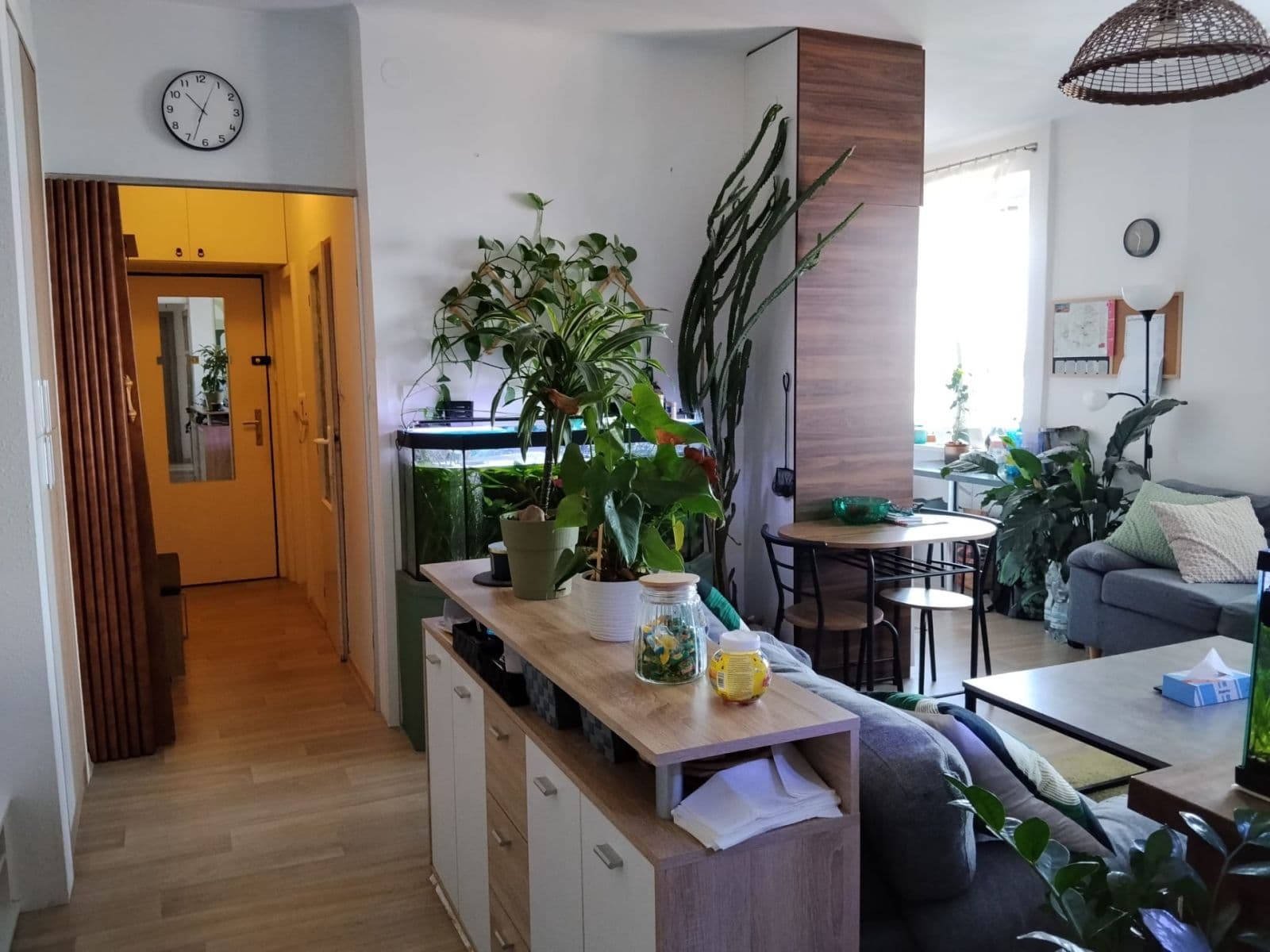 Pronájem bytu 3+1 69 m², Jetelová, Plzeň, Plzeňský kraj Pronájem bytu 3+1 69 m², Jetelová, Plzeň, Plzeňský kraj
