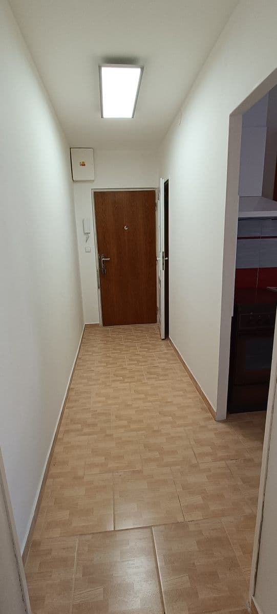Pronájem bytu 2+1 60 m², Letovická, Brno, Jihomoravský kraj Pronájem bytu 2+1 60 m², Letovická, Brno, Jihomoravský kraj