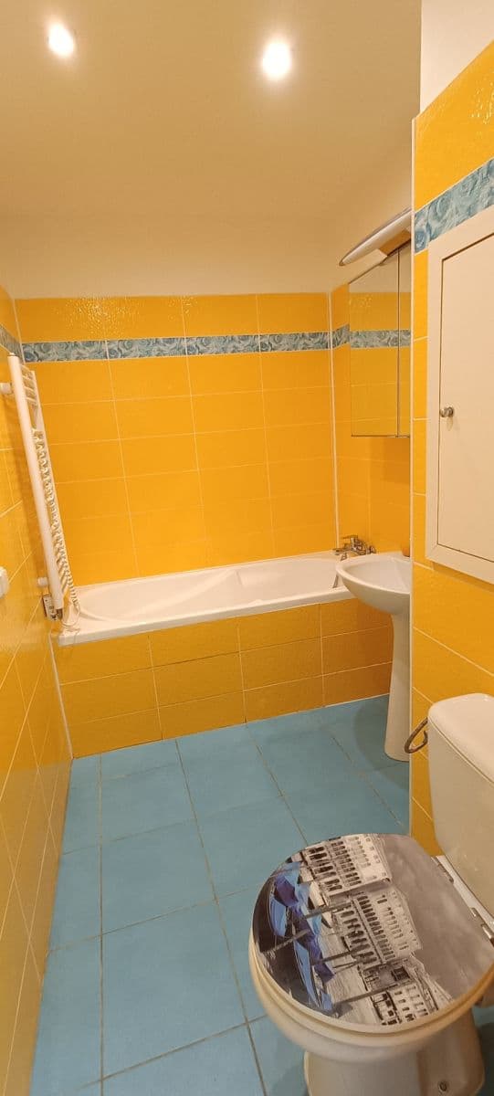 Pronájem bytu 2+1 60 m², Letovická, Brno, Jihomoravský kraj Pronájem bytu 2+1 60 m², Letovická, Brno, Jihomoravský kraj
