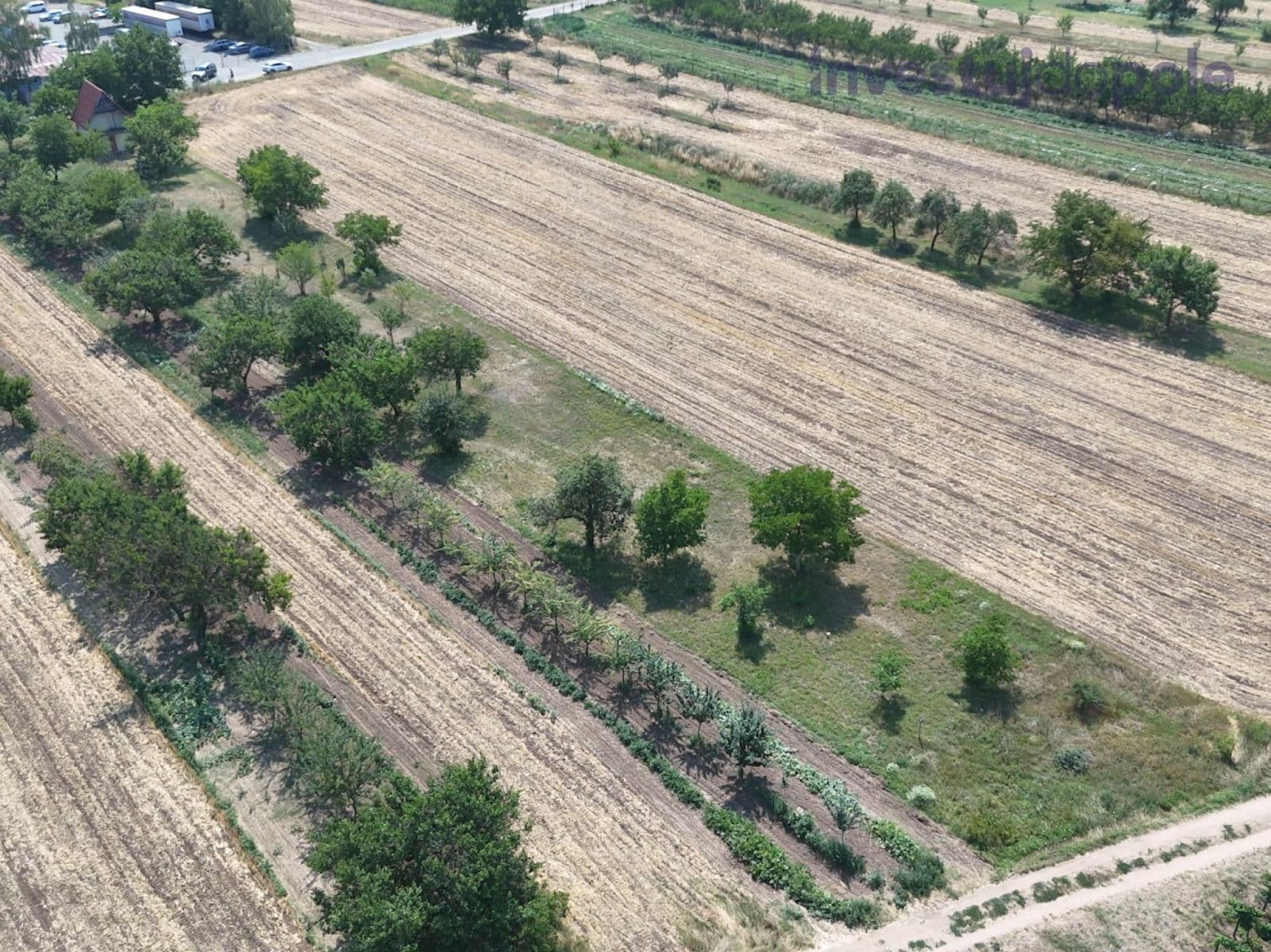 Prodej pozemku 2.415 m², Hrušovany u Brna, Jihomoravský kraj Prodej pozemku 2.415 m², Hrušovany u Brna, Jihomoravský kraj