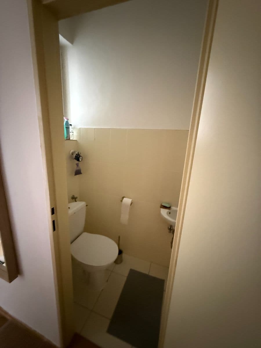 Pronájem bytu 1+1 46 m², Purkyňova, Brno, Jihomoravský kraj Pronájem bytu 1+1 46 m², Purkyňova, Brno, Jihomoravský kraj