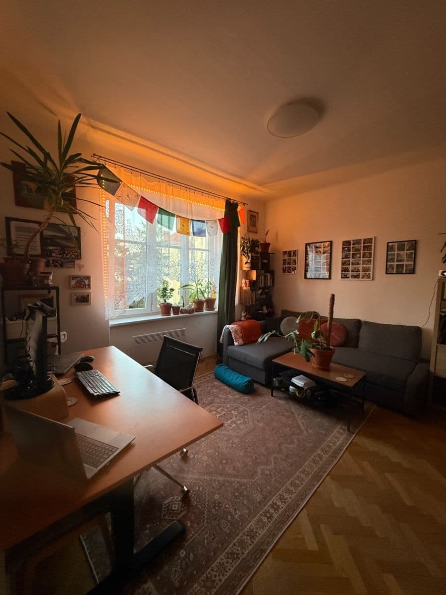 Pronájem bytu 1+1 46 m², Purkyňova, Brno, Jihomoravský kraj Pronájem bytu 1+1 46 m², Purkyňova, Brno, Jihomoravský kraj