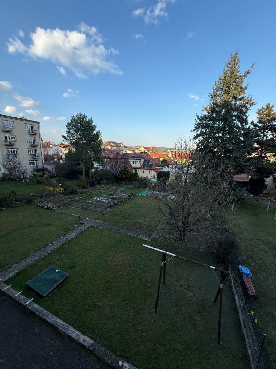 Pronájem bytu 1+1 46 m², Purkyňova, Brno, Jihomoravský kraj Pronájem bytu 1+1 46 m², Purkyňova, Brno, Jihomoravský kraj