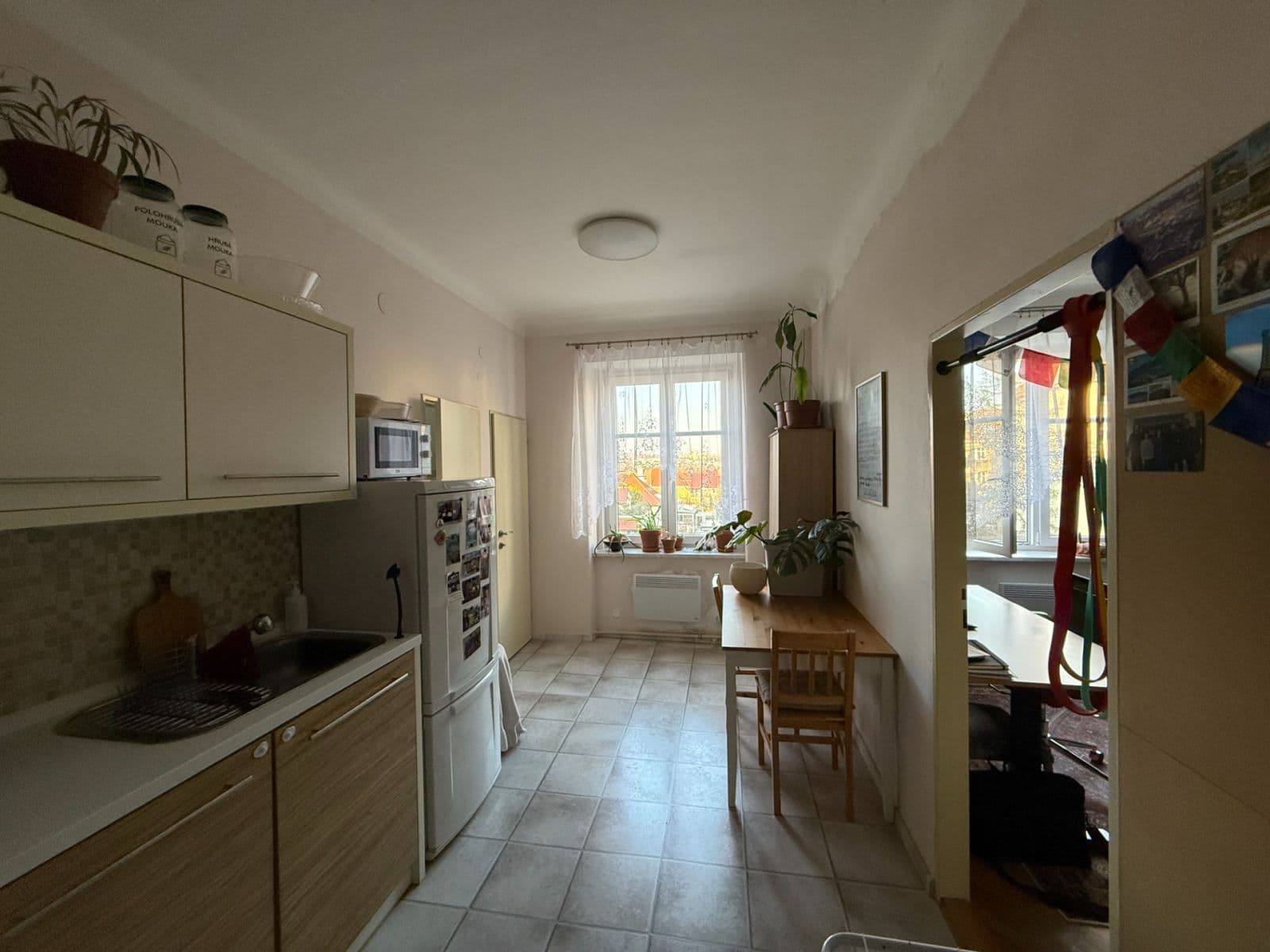 Pronájem bytu 1+1 46 m², Purkyňova, Brno, Jihomoravský kraj Pronájem bytu 1+1 46 m², Purkyňova, Brno, Jihomoravský kraj