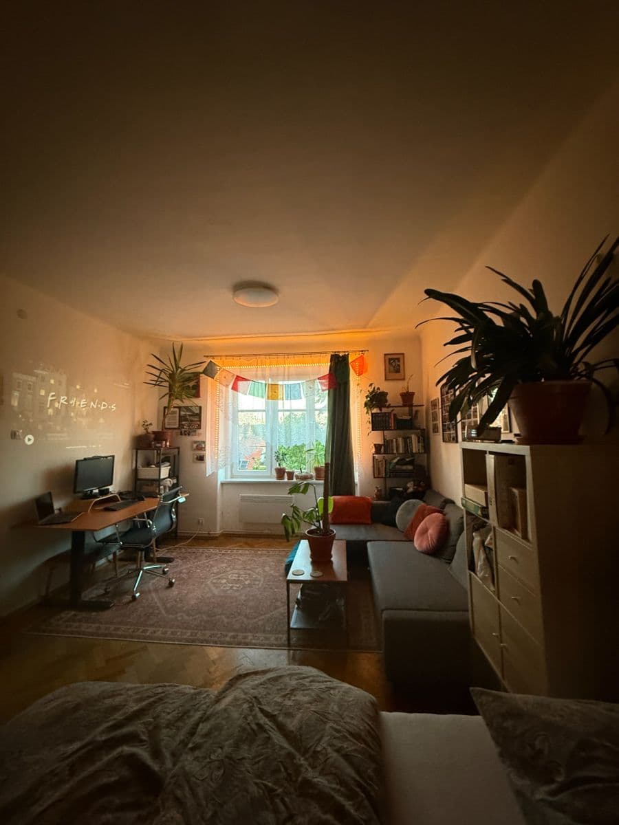 Pronájem bytu 1+1 46 m², Purkyňova, Brno, Jihomoravský kraj Pronájem bytu 1+1 46 m², Purkyňova, Brno, Jihomoravský kraj