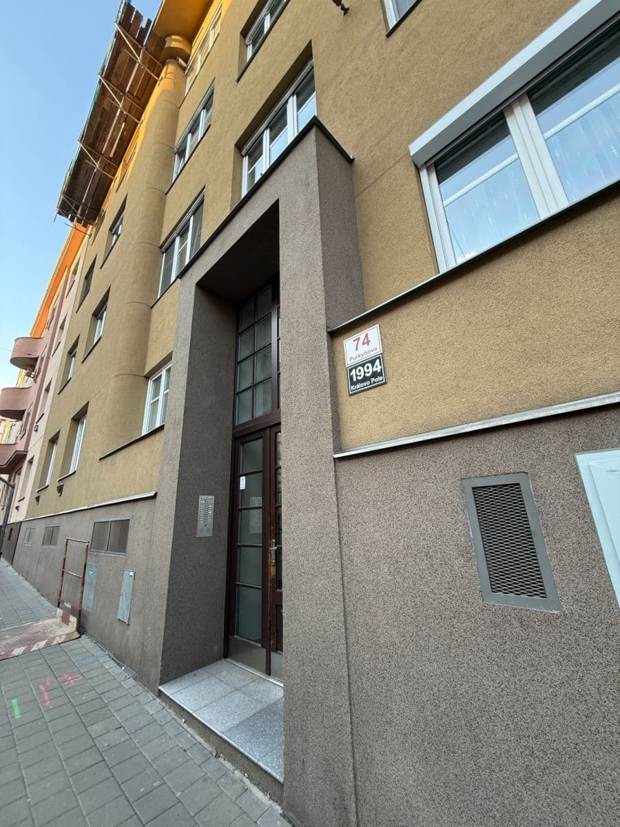 Pronájem bytu 1+1 46 m², Purkyňova, Brno, Jihomoravský kraj Pronájem bytu 1+1 46 m², Purkyňova, Brno, Jihomoravský kraj