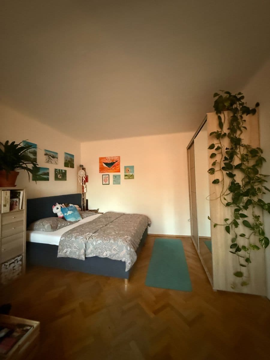 Pronájem bytu 1+1 46 m², Purkyňova, Brno, Jihomoravský kraj Pronájem bytu 1+1 46 m², Purkyňova, Brno, Jihomoravský kraj