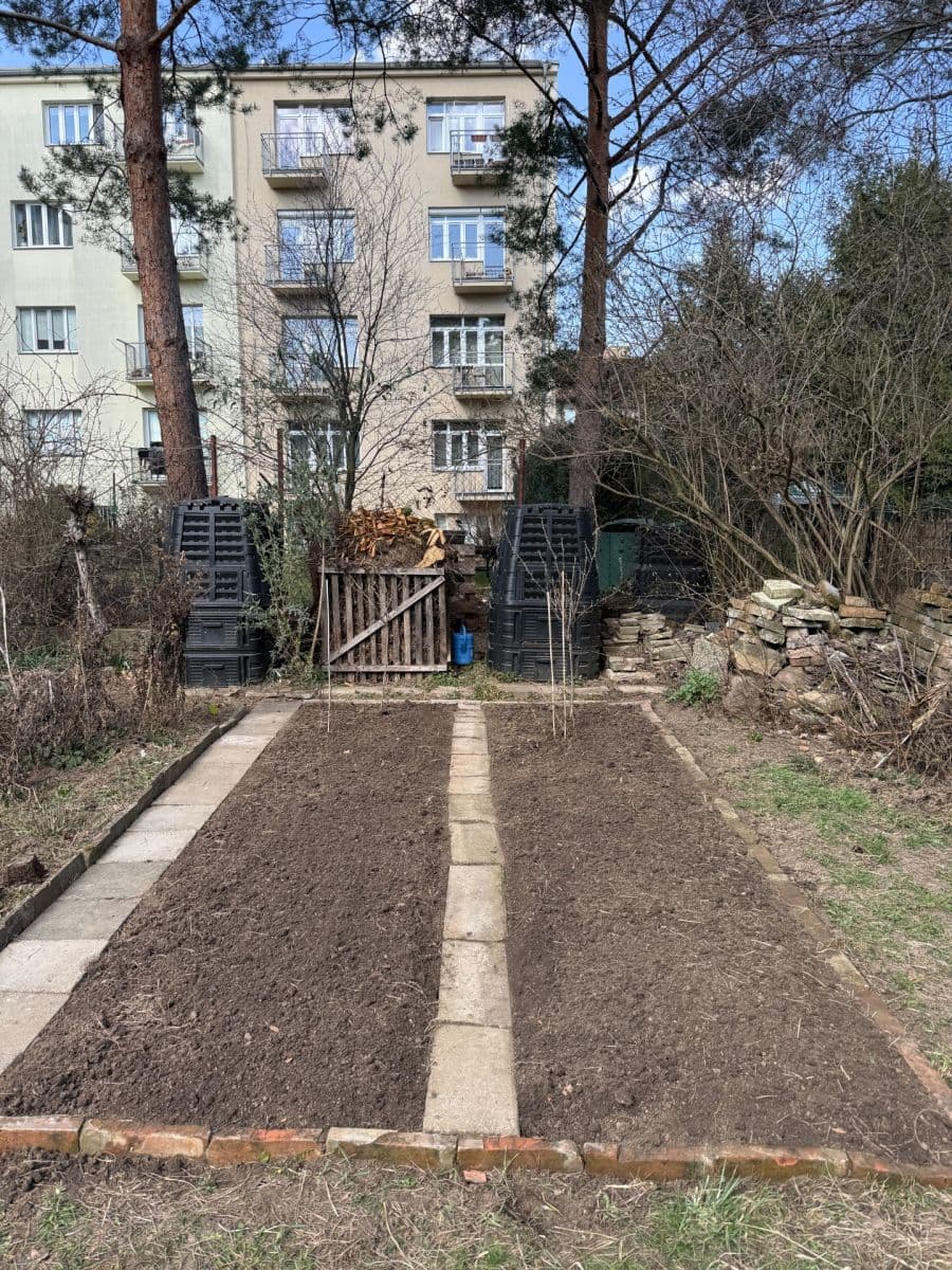 Pronájem bytu 1+1 46 m², Purkyňova, Brno, Jihomoravský kraj Pronájem bytu 1+1 46 m², Purkyňova, Brno, Jihomoravský kraj