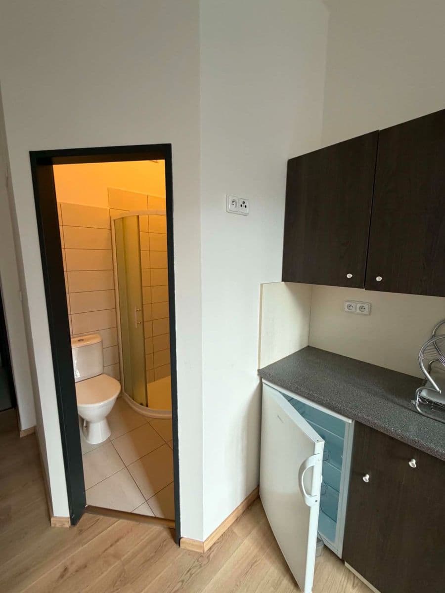 Pronájem bytu 1+kk 15 m², náměstí Hrdinů, Praha, Praha Pronájem bytu 1+kk 15 m², náměstí Hrdinů, Praha, Praha
