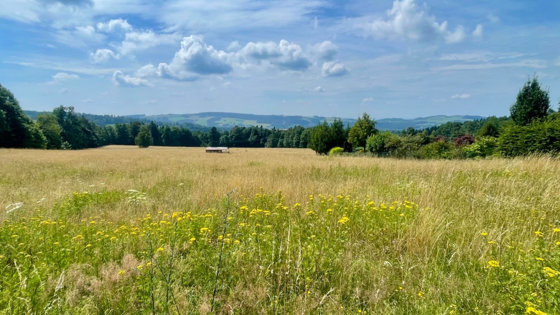 Prodej pozemku 2.205 m², U Pískovny, Jablonec nad Nisou, Liberecký kraj Prodej pozemku 2.205 m², U Pískovny, Jablonec nad Nisou, Liberecký kraj