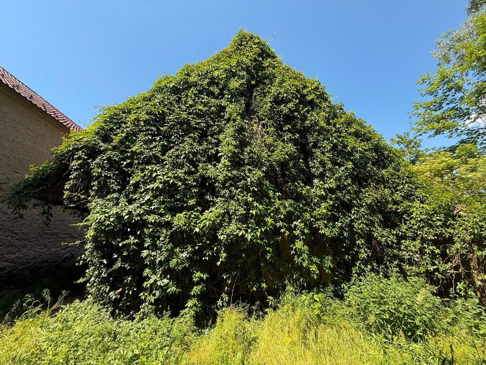 Prodej domu 150 m², pozemek 625 m², Mladý Smolivec, Plzeňský kraj Prodej domu 150 m², pozemek 625 m², Mladý Smolivec, Plzeňský kraj