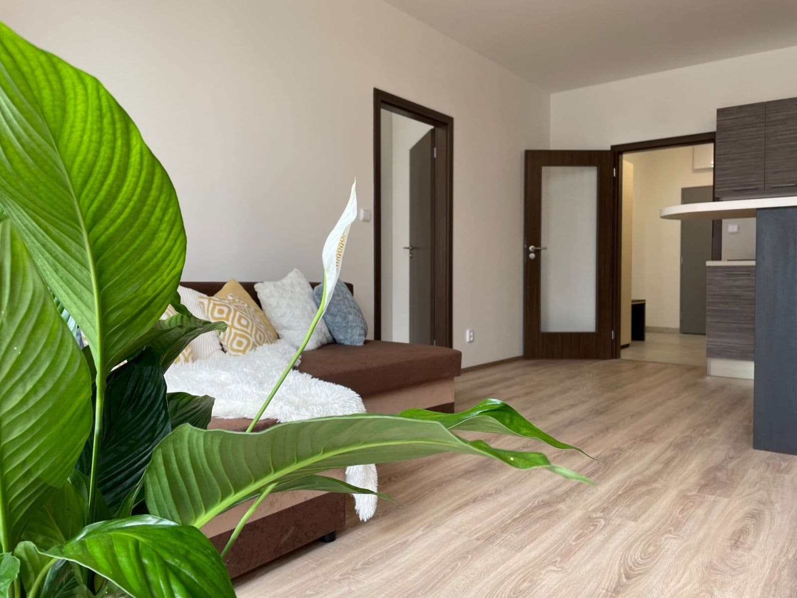 Prodej bytu 2+kk 48 m², Vídeňská, Brno, Jihomoravský kraj Prodej bytu 2+kk 48 m², Vídeňská, Brno, Jihomoravský kraj