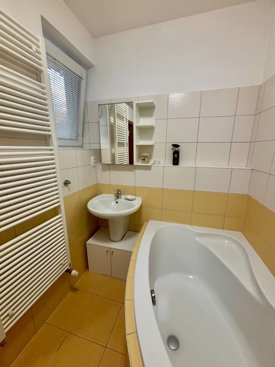 Prodej bytu 2+kk 47 m², Litvínovická, České Budějovice, Jihočeský kraj Prodej bytu 2+kk 47 m², Litvínovická, České Budějovice, Jihočeský kraj