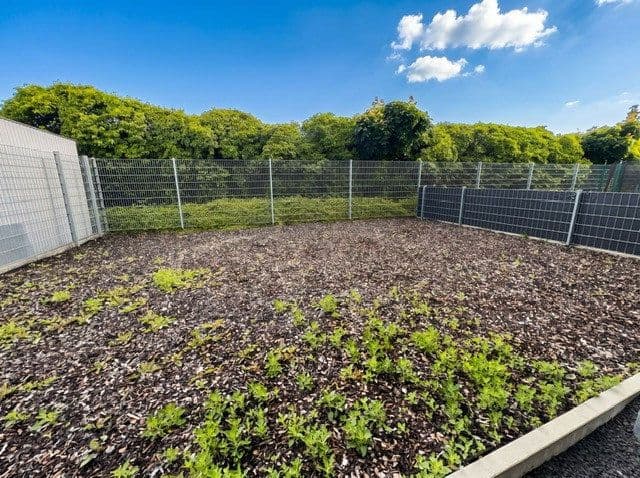 Pronájem bytu 3+1 95 m², Jockgrim, Porýní-Falc Pronájem bytu 3+1 95 m², Jockgrim, Porýní-Falc