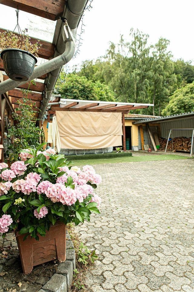 Prodej pozemku 67.115 m², Maxsain, Porýní-Falc Prodej pozemku 67.115 m², Maxsain, Porýní-Falc