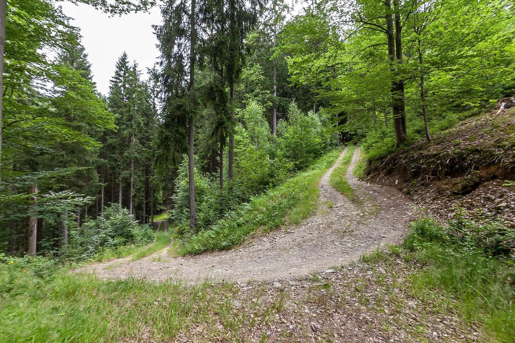 Prodej chaty, chalupy 240 m², pozemek 32.164 m², Jablonec nad Jizerou, Liberecký kraj Prodej chaty, chalupy 240 m², pozemek 32.164 m², Jablonec nad Jizerou, Liberecký kraj