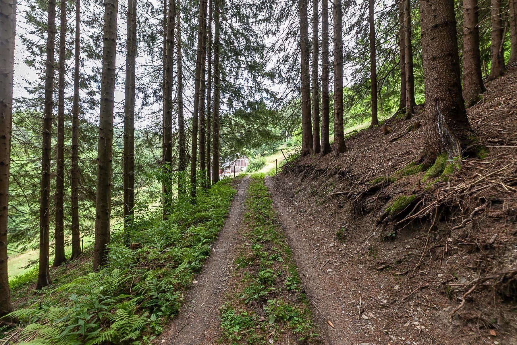 Prodej chaty, chalupy 240 m², pozemek 32.164 m², Jablonec nad Jizerou, Liberecký kraj Prodej chaty, chalupy 240 m², pozemek 32.164 m², Jablonec nad Jizerou, Liberecký kraj