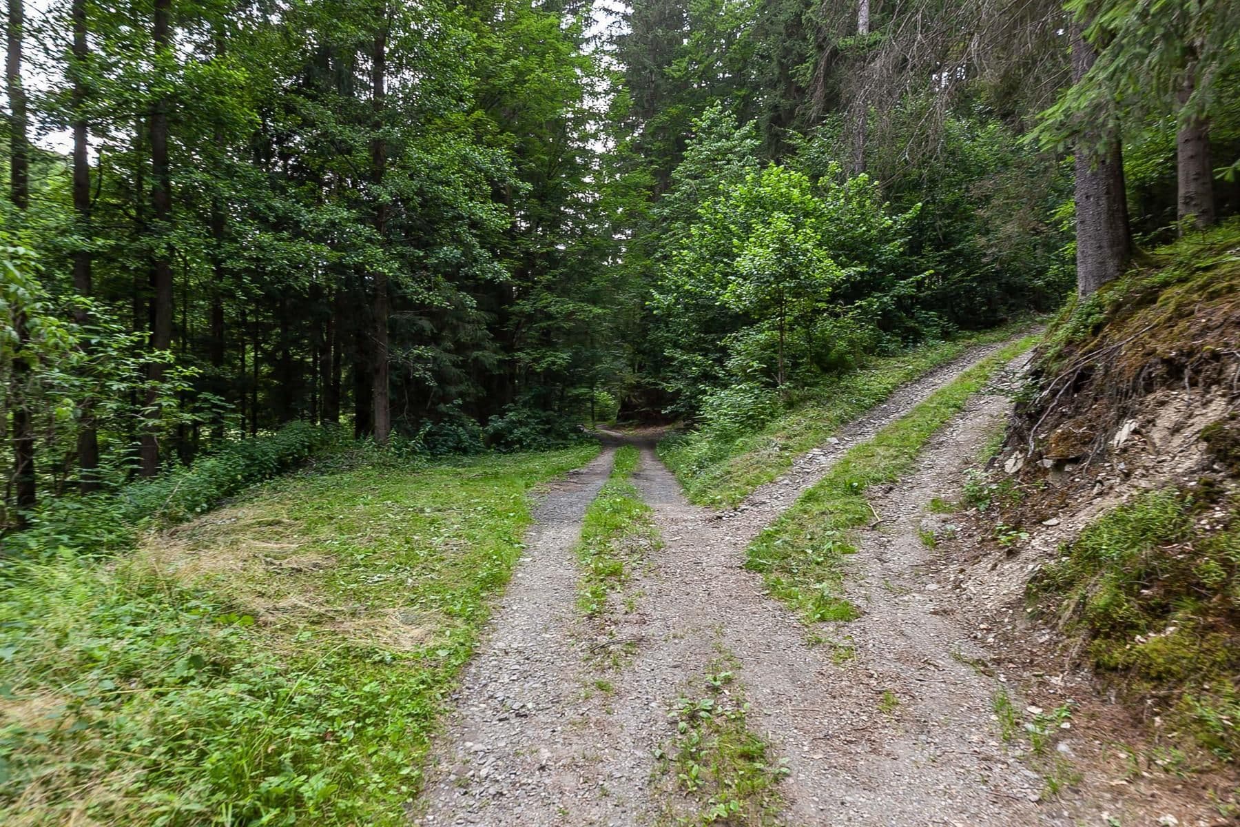Prodej chaty, chalupy 240 m², pozemek 32.164 m², Jablonec nad Jizerou, Liberecký kraj Prodej chaty, chalupy 240 m², pozemek 32.164 m², Jablonec nad Jizerou, Liberecký kraj