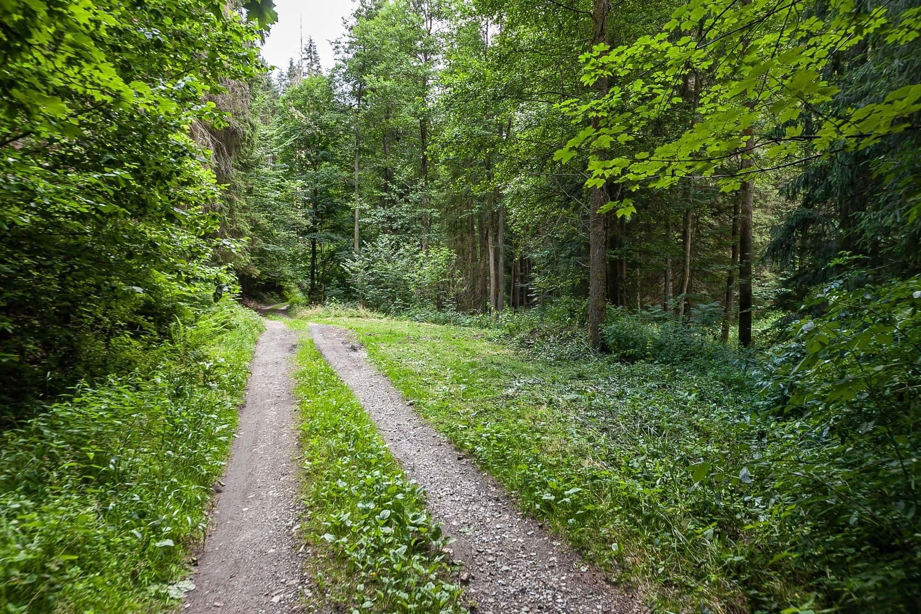 Prodej chaty, chalupy 240 m², pozemek 32.164 m², Jablonec nad Jizerou, Liberecký kraj Prodej chaty, chalupy 240 m², pozemek 32.164 m², Jablonec nad Jizerou, Liberecký kraj