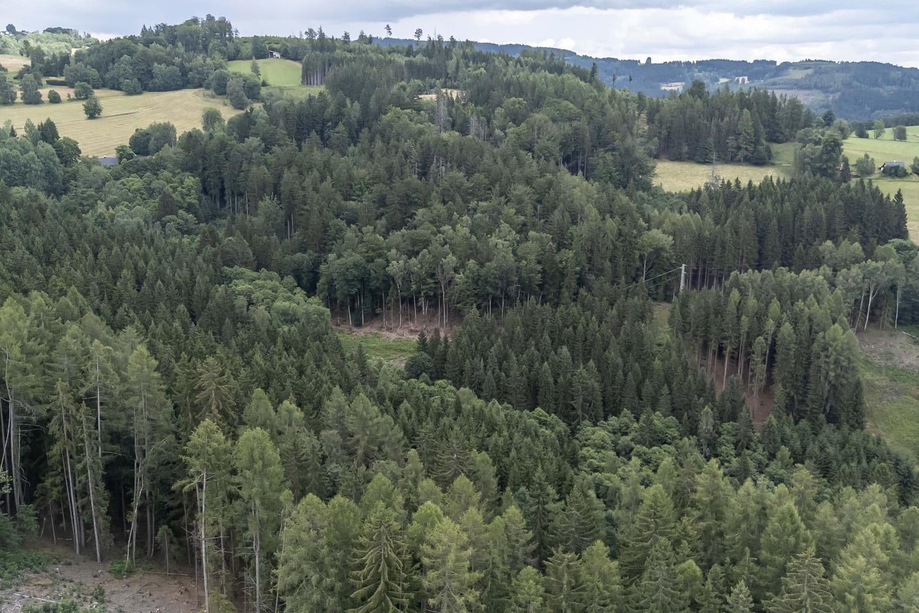Prodej chaty, chalupy 240 m², pozemek 32.164 m², Jablonec nad Jizerou, Liberecký kraj Prodej chaty, chalupy 240 m², pozemek 32.164 m², Jablonec nad Jizerou, Liberecký kraj