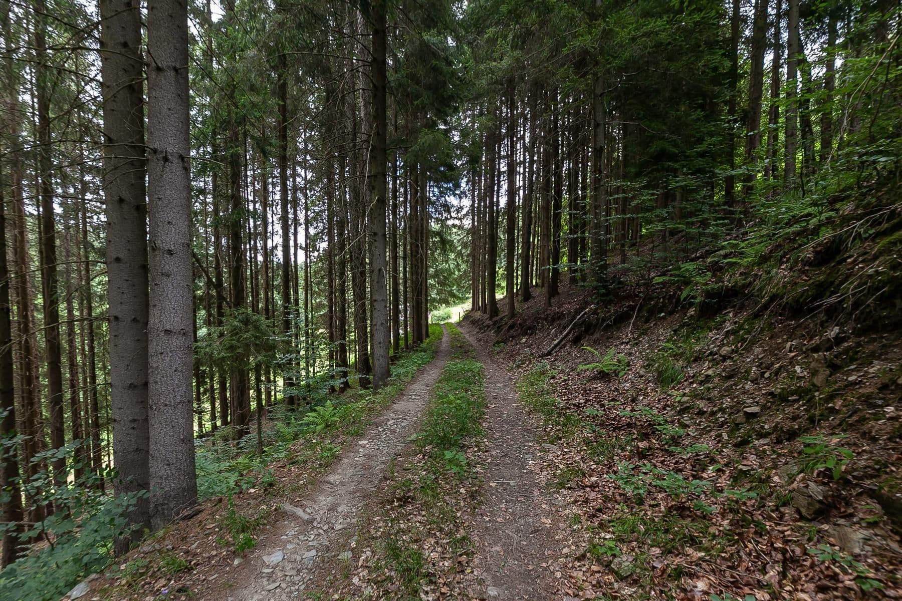 Prodej chaty, chalupy 240 m², pozemek 32.164 m², Jablonec nad Jizerou, Liberecký kraj Prodej chaty, chalupy 240 m², pozemek 32.164 m², Jablonec nad Jizerou, Liberecký kraj