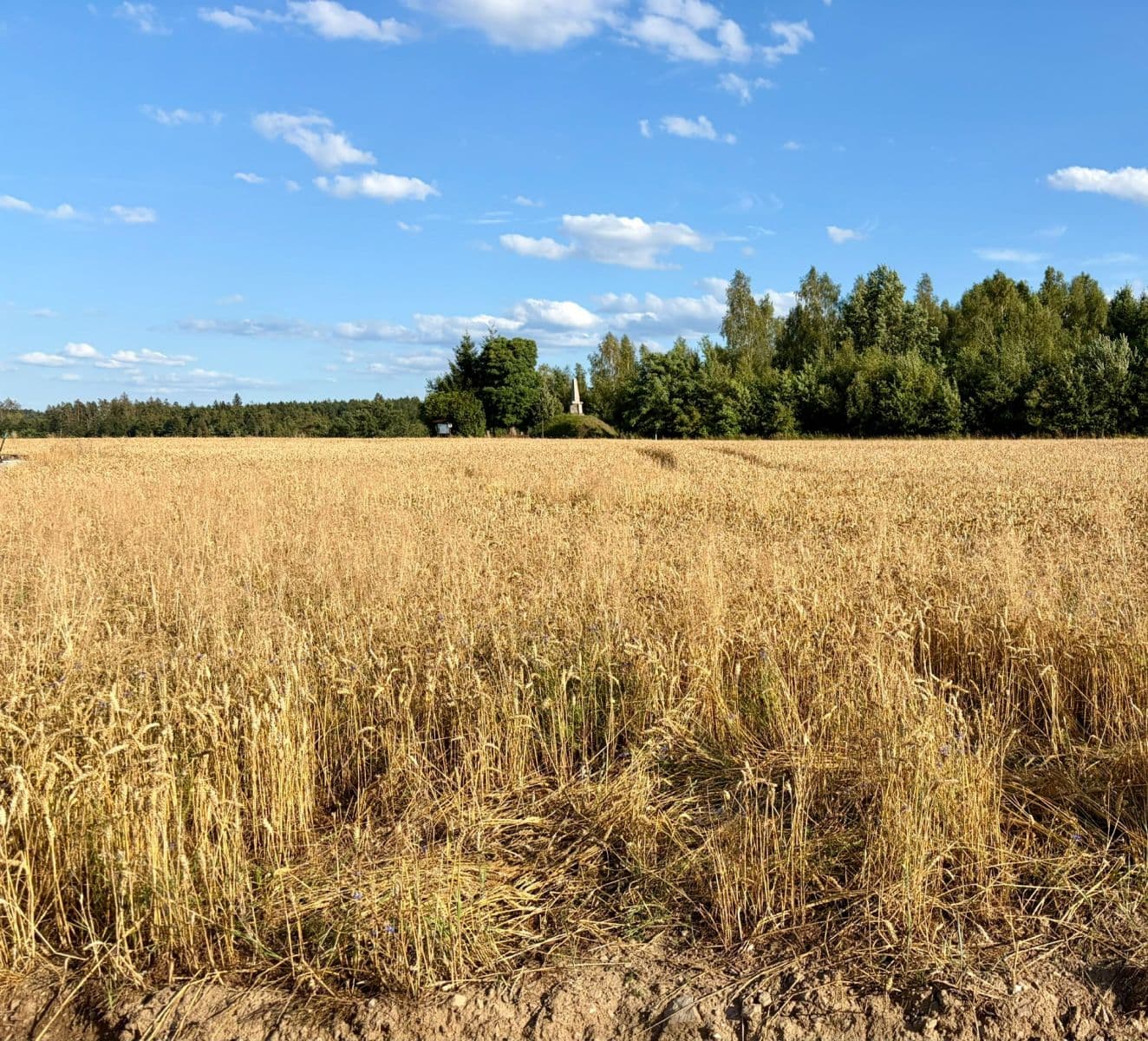 Prodej pozemku 714 m², Heřmaň, Jihočeský kraj Prodej pozemku 714 m², Heřmaň, Jihočeský kraj