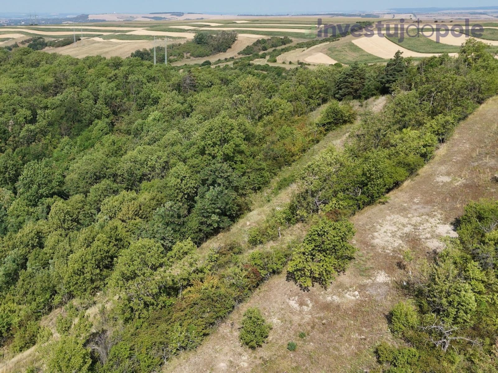 Prodej pozemku 2.052 m², Kobeřice u Brna, Jihomoravský kraj Prodej pozemku 2.052 m², Kobeřice u Brna, Jihomoravský kraj