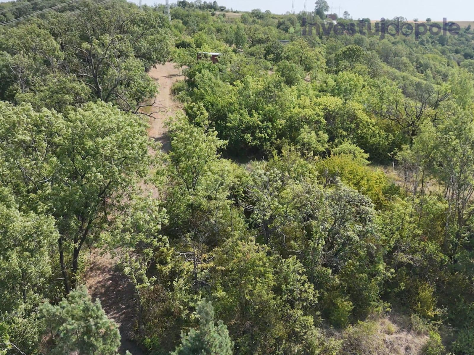 Prodej pozemku 2.052 m², Kobeřice u Brna, Jihomoravský kraj Prodej pozemku 2.052 m², Kobeřice u Brna, Jihomoravský kraj
