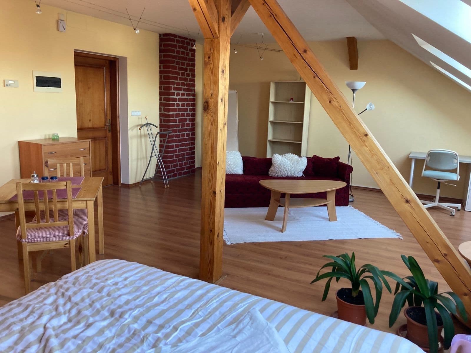 Pronájem bytu 1+kk 55 m², Zolova, Olomouc, Olomoucký kraj Pronájem bytu 1+kk 55 m², Zolova, Olomouc, Olomoucký kraj