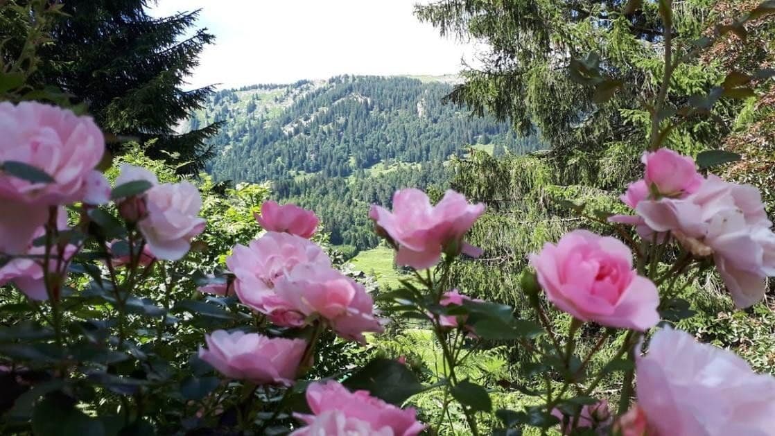 Prodej domu 317 m², pozemek 2.032 m², Blaichach, Bavorsko Prodej domu 317 m², pozemek 2.032 m², Blaichach, Bavorsko