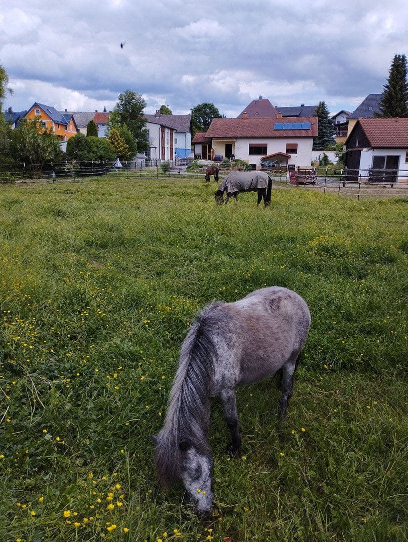 Prodej domu 250 m², pozemek 4.000 m², Thiersheim, Bavorsko Prodej domu 250 m², pozemek 4.000 m², Thiersheim, Bavorsko