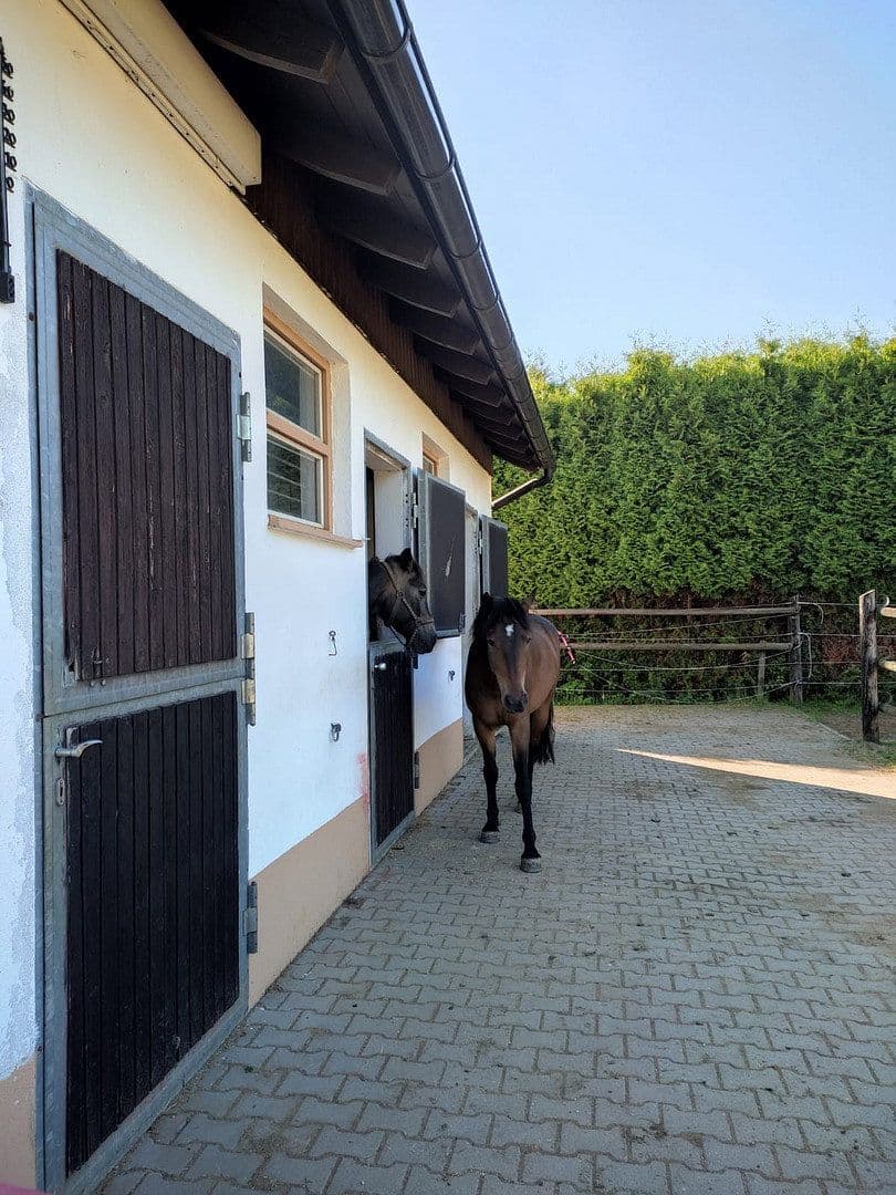 Prodej domu 250 m², pozemek 4.000 m², Thiersheim, Bavorsko Prodej domu 250 m², pozemek 4.000 m², Thiersheim, Bavorsko