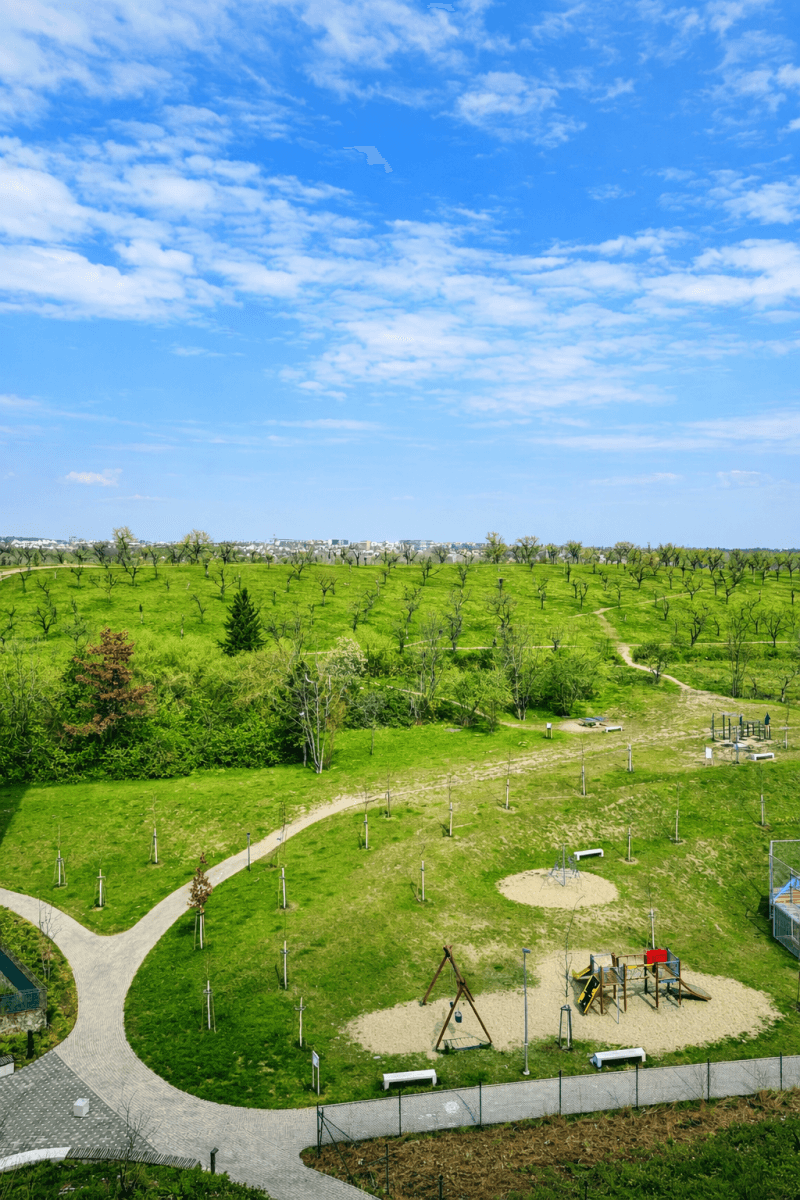 Pronájem bytu 1+kk 40 m², V Třešňovce, Praha, Praha Pronájem bytu 1+kk 40 m², V Třešňovce, Praha, Praha