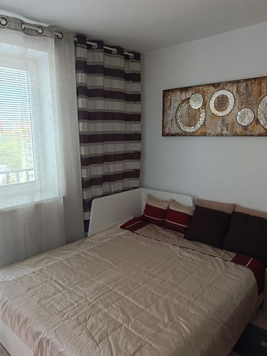 Pronájem bytu 1+kk 29 m², Sedláčkova, Brno, Jihomoravský kraj Pronájem bytu 1+kk 29 m², Sedláčkova, Brno, Jihomoravský kraj