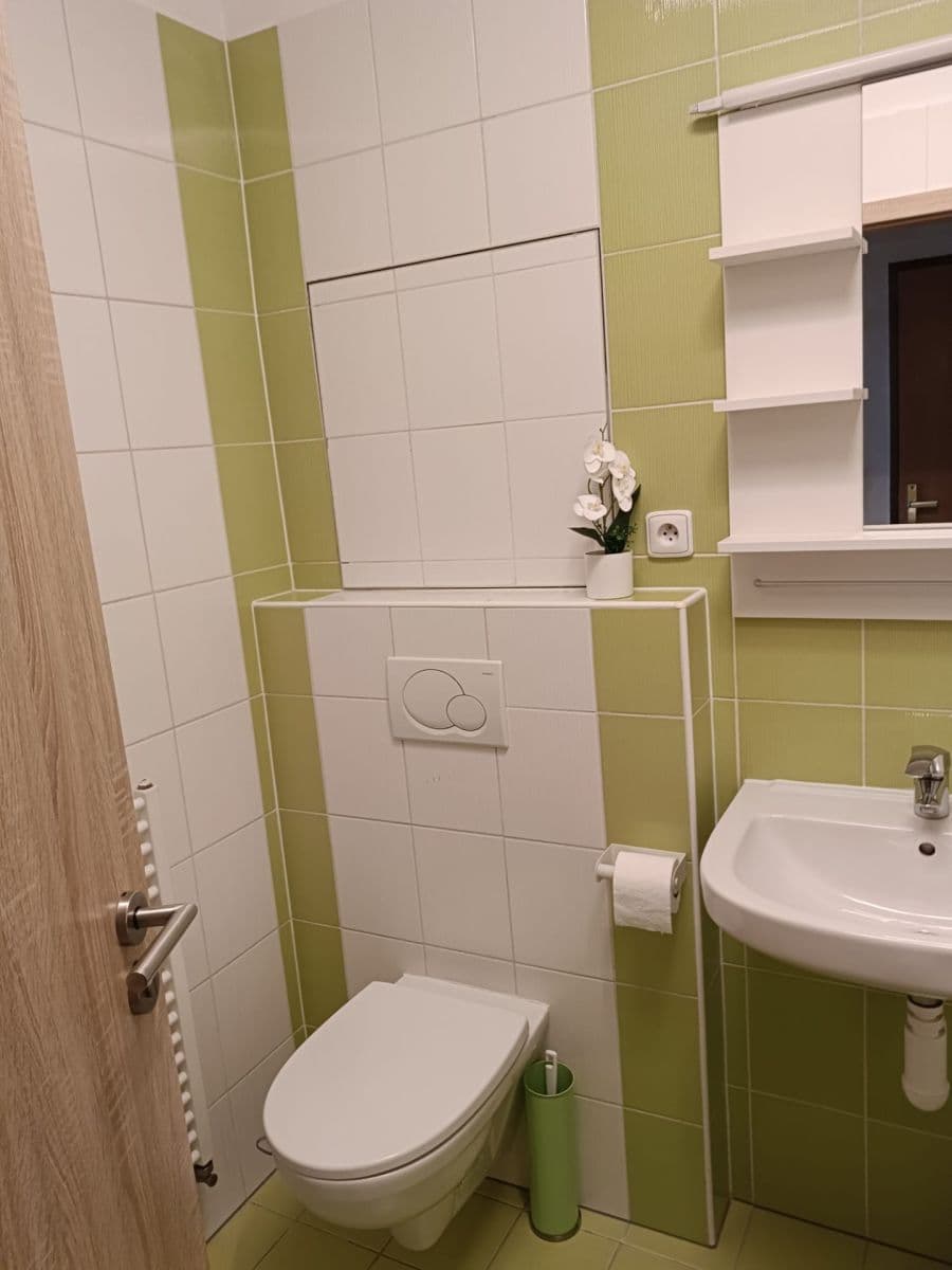 Pronájem bytu 1+kk 29 m², Sedláčkova, Brno, Jihomoravský kraj Pronájem bytu 1+kk 29 m², Sedláčkova, Brno, Jihomoravský kraj