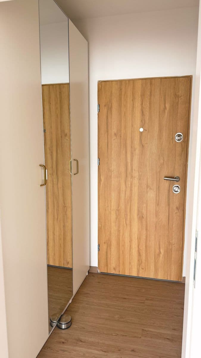 Pronájem bytu 1+kk 33 m², Faměrovo náměstí, Brno, Jihomoravský kraj Pronájem bytu 1+kk 33 m², Faměrovo náměstí, Brno, Jihomoravský kraj