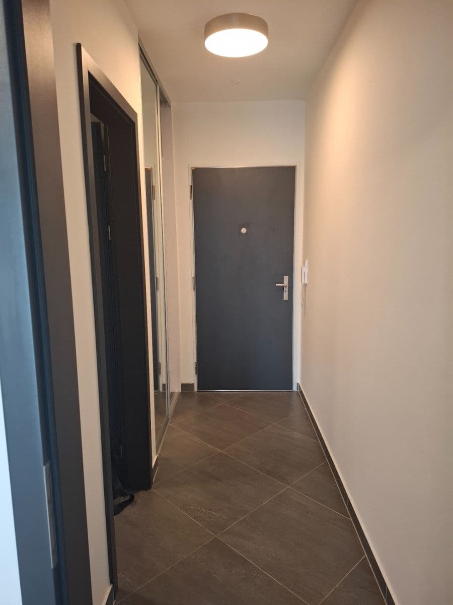 Pronájem bytu 1+kk 30 m², Švehlova, Praha, Praha Pronájem bytu 1+kk 30 m², Švehlova, Praha, Praha