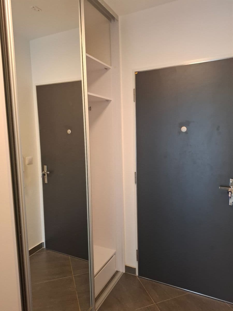 Pronájem bytu 1+kk 30 m², Švehlova, Praha, Praha Pronájem bytu 1+kk 30 m², Švehlova, Praha, Praha