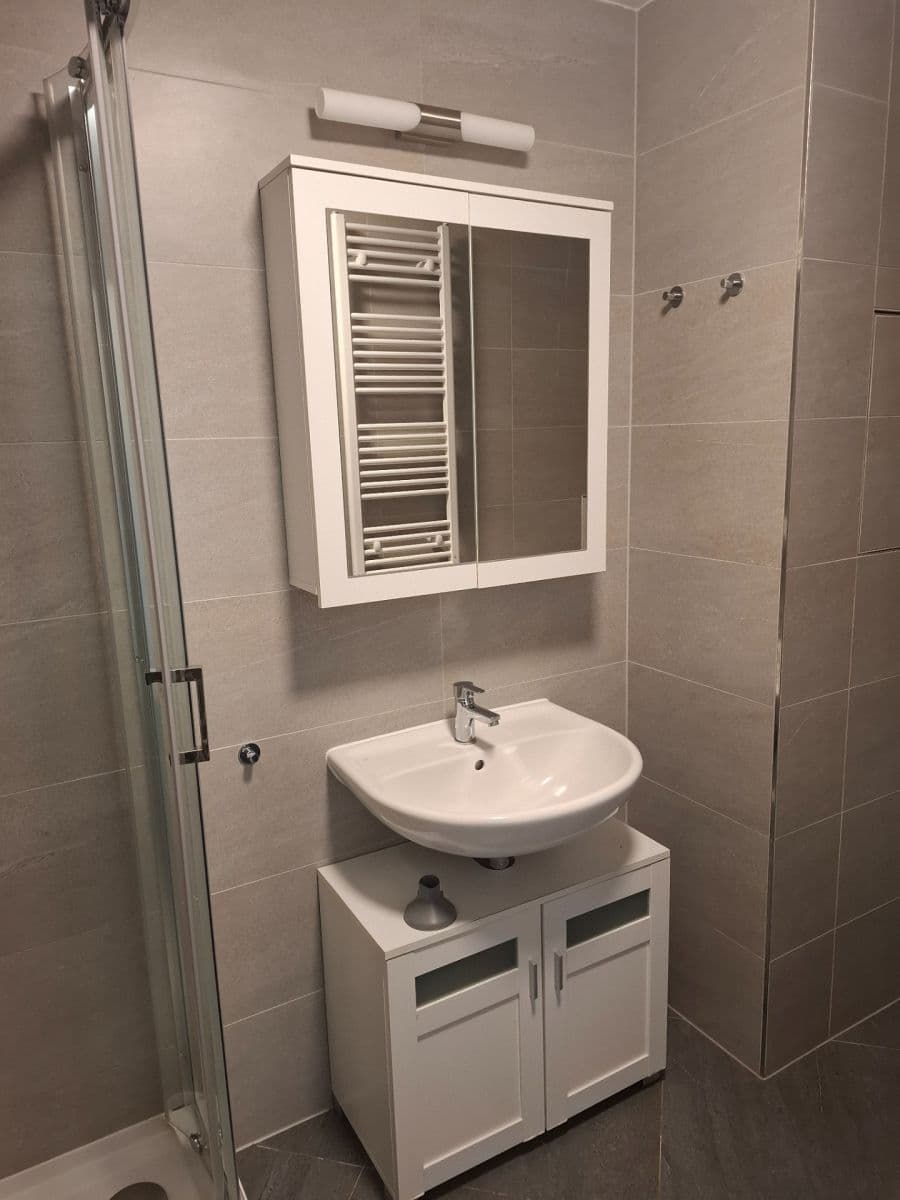 Pronájem bytu 1+kk 30 m², Švehlova, Praha, Praha Pronájem bytu 1+kk 30 m², Švehlova, Praha, Praha