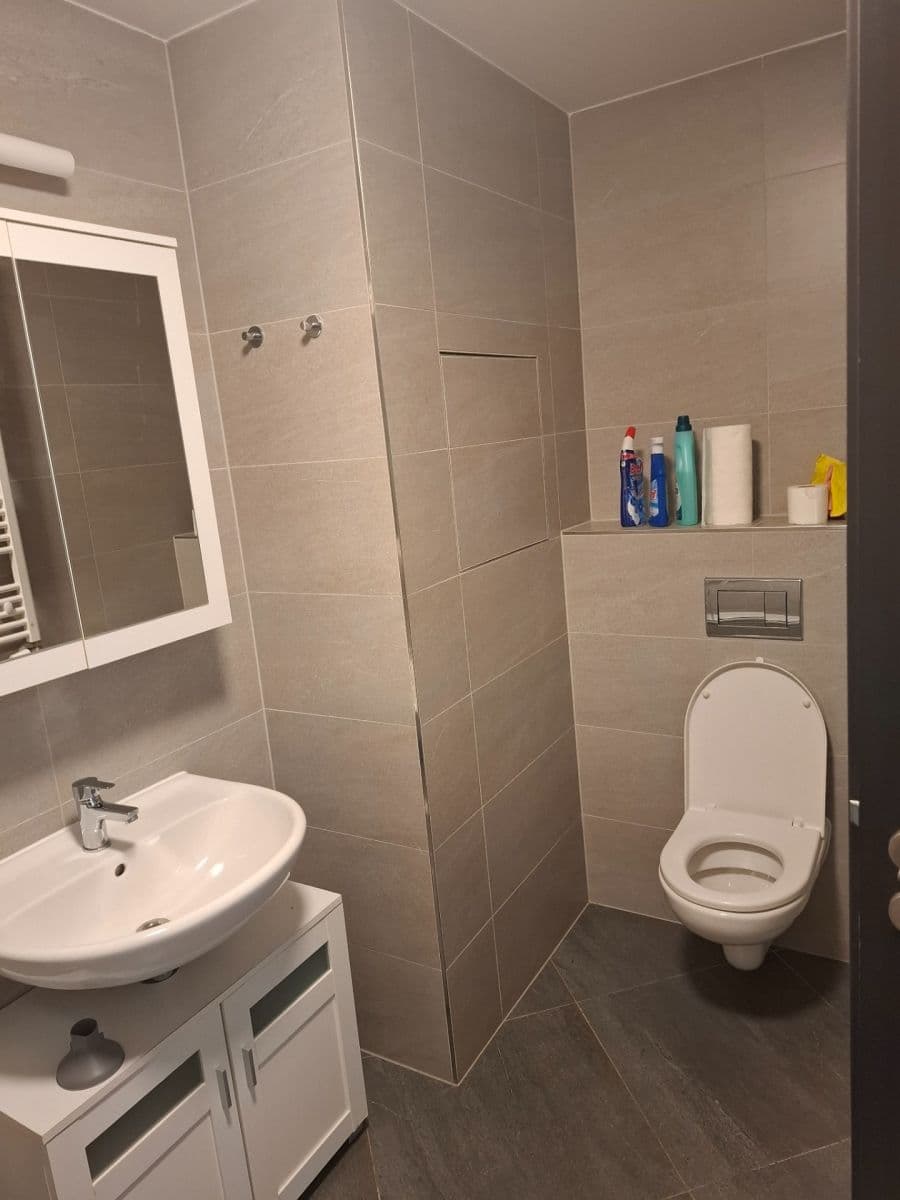 Pronájem bytu 1+kk 30 m², Švehlova, Praha, Praha Pronájem bytu 1+kk 30 m², Švehlova, Praha, Praha