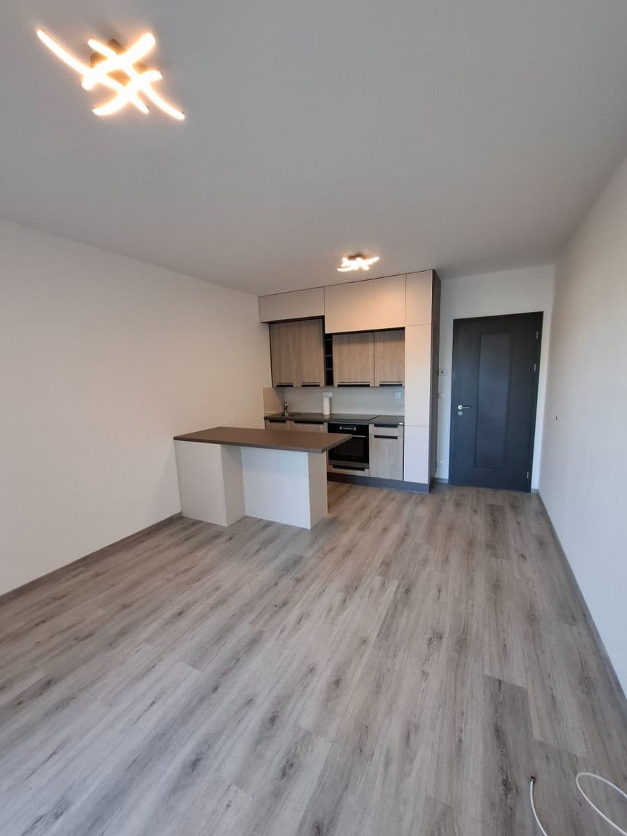 Pronájem bytu 1+kk 30 m², Švehlova, Praha, Praha Pronájem bytu 1+kk 30 m², Švehlova, Praha, Praha