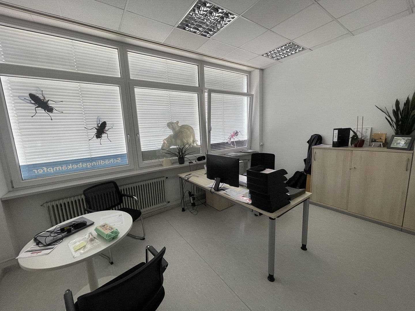 Pronájem nebytového prostoru 734 m², Lauterbachstraße 89, Eggenfelden, Bavorsko Pronájem nebytového prostoru 734 m², Lauterbachstraße 89, Eggenfelden, Bavorsko