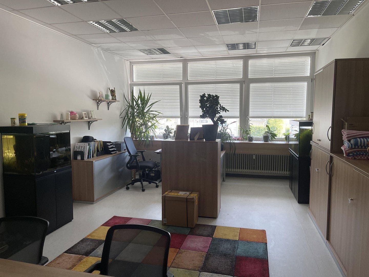 Pronájem nebytového prostoru 734 m², Lauterbachstraße 89, Eggenfelden, Bavorsko Pronájem nebytového prostoru 734 m², Lauterbachstraße 89, Eggenfelden, Bavorsko