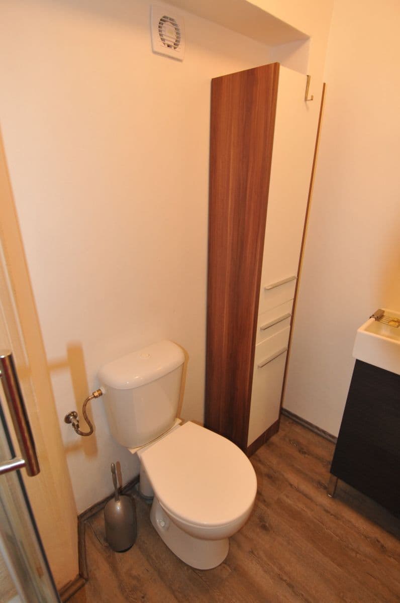Pronájem bytu 1+kk 20 m², Na Cikánce, Praha, Praha Pronájem bytu 1+kk 20 m², Na Cikánce, Praha, Praha