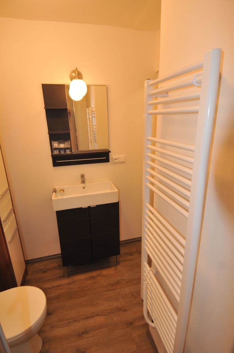 Pronájem bytu 1+kk 20 m², Na Cikánce, Praha, Praha Pronájem bytu 1+kk 20 m², Na Cikánce, Praha, Praha